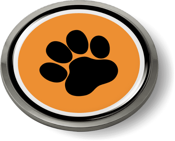 Paw Print Emblem Questions & Answers