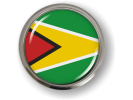 Guyana - Flag - Country Emblem
