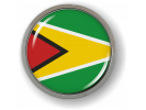 Guyana - Flag - Country Emblem