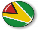 Guyana - Flag - Country Emblem