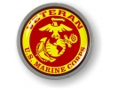 USMC Veteran EGA Emblem
