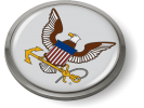 U.S. Navy Eagle and Anchor Emblem