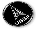 USSF Emblem (b)