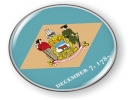 Delaware - State Flag Emblem