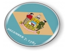 Delaware - State Flag Emblem