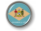 Delaware - State Flag Emblem