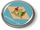 Delaware - State Flag Emblem