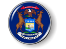 Michigan State Flag Emblem