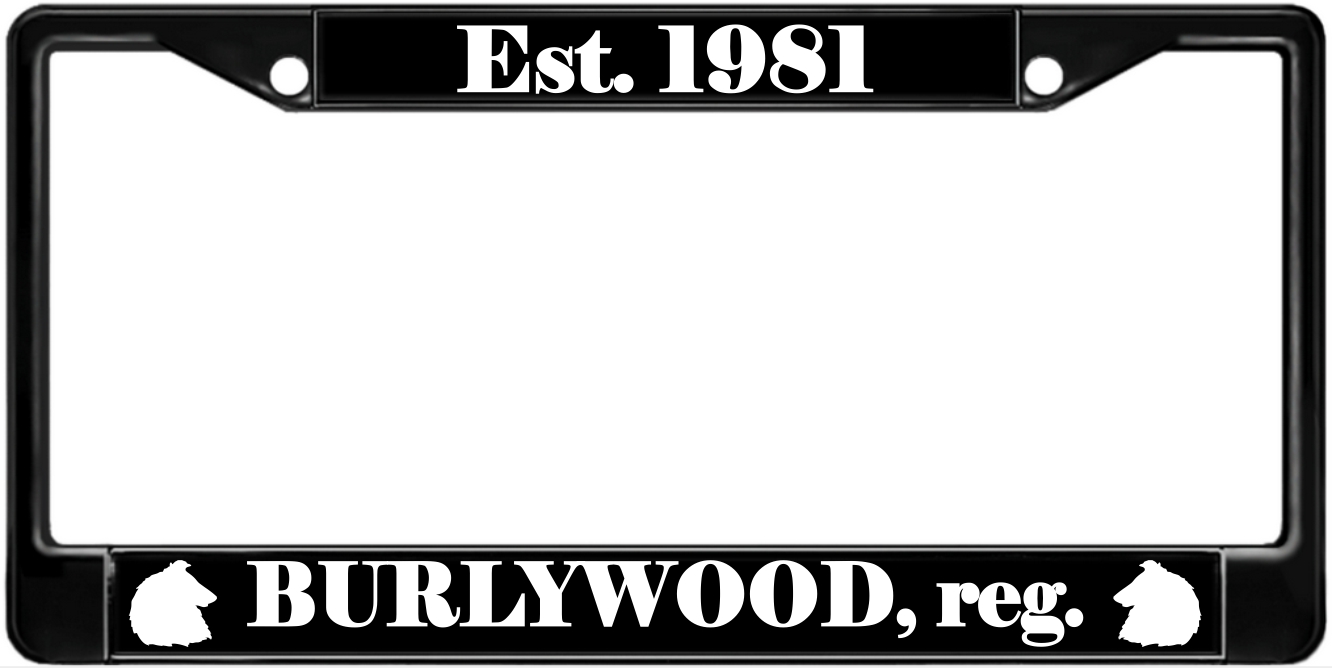 Burlywood - Metal License Plate Frame
