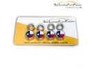 Texas Lone Star Flag License Plate Screw Caps - Chrome Metal Set of 4