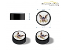 U.S. Navy License Plate Screw Caps - Black Metal Set of 4
