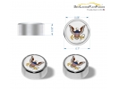 U.S. Navy License Plate Screw Caps - Chrome Metal Set of 4