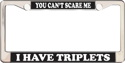 You Can't Scare Me I Have Triplets You Can't Scare Me I Have Triplets